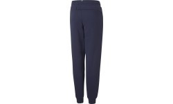 Подростковые брюки Puma Ess+ 2 Col Logo Blue 586988 96