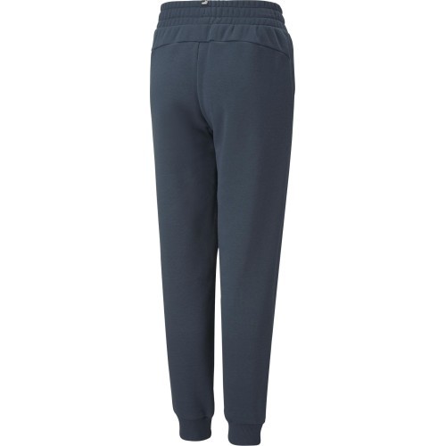 Puma Kelnės Paaugliams Ess + 2 Col Logo Pants Blue 586988 16