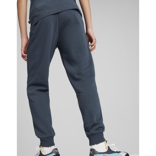 Puma подростковые брюки Ess + 2 Col Logo Pants Blue 586988 16