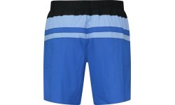Мужские плавательные шорты Puma Swim Men Her чёрно-синие 938061 01