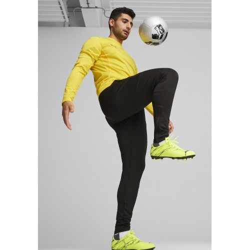 Мужские спортивные брюки Puma TeamGoal Slim Black 659037 03