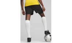 Puma Futbolo Šortai TeamGoal 2in1 Short Black 658774 03