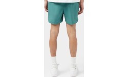 Мужские плавательные шорты Nike 5" Volley Short Green NESSA560 302