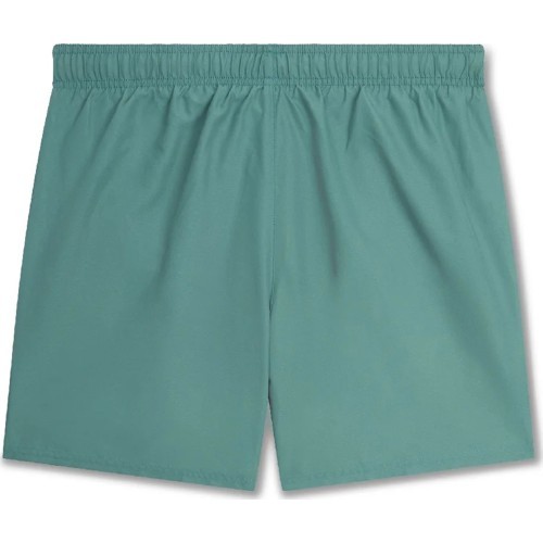 Мужские плавательные шорты Nike 5" Volley Short Green NESSA560 302