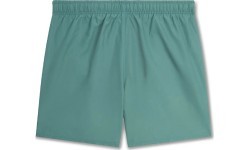 Nike Men's Swim Shorts 5" Volley Short Green NESSA560 302