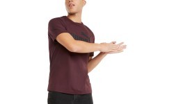 Мужская футболка Puma Ess Logo Tee, бордовая
