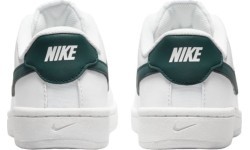 Мужская обувь Nike Court Royale 2 White Green CQ9246 105