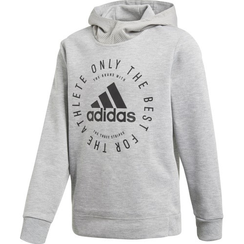 Adidas Džemperis Paaugliams Yb Sid Po Grey