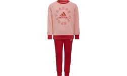 Adidas Sportinis Kostiumas Mergaitėms Lk Logo Jog Set Red Pink H65799