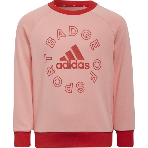 Спортивный костюм для девочек Adidas LK Logo Jog Set, красный/розовый, H65799