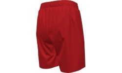 Плавательные шорты подростковые Nike Nk B Ess 6'' Volley красные NESSA779 614