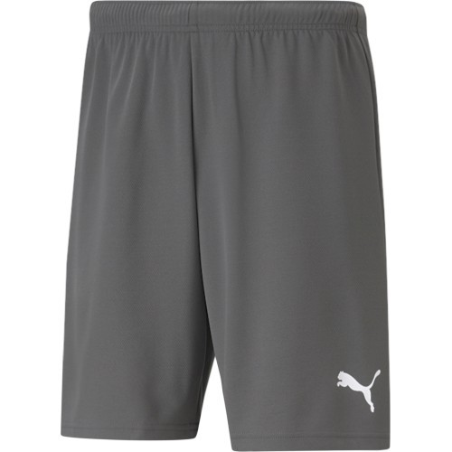 Puma Teamrise Men's Shorts Grey 704942 13