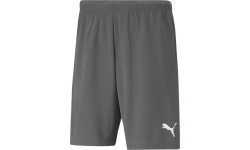 Puma Teamrise Men's Shorts Grey 704942 13