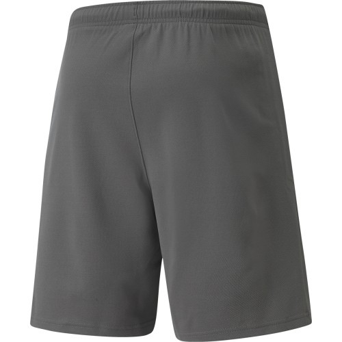 Puma Šortai Vyrams Teamrise Short Grey 704942 13