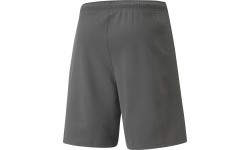 Мужские шорты Puma Teamrise, серые 704942 13