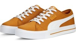 Мужская обувь Puma Ever FS CV Desert Clay Brown 386393 05
