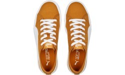 Мужская обувь Puma Ever FS CV Desert Clay Brown 386393 05