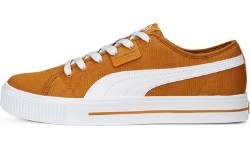 Puma Avalynė Vyrams Ever Fs Cv Desert Clay Brown 386393 05