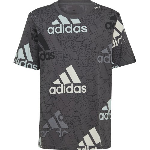 Adidas Marškinėliai Berniukams U Bl Logo Tee Grey HP0819