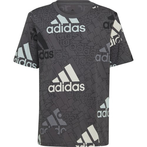 Футболка для мальчиков Adidas U BL Logo Tee Grey HP0819