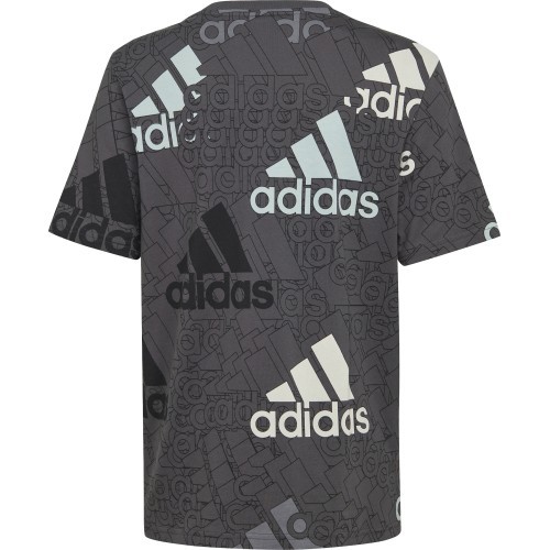 Футболка для мальчиков Adidas U BL Logo Tee Grey HP0819