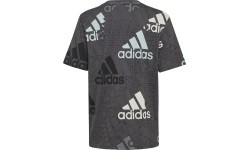 Футболка для мальчиков Adidas U BL Logo Tee Grey HP0819