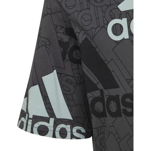 Adidas Marškinėliai Berniukams U Bl Logo Tee Grey HP0819