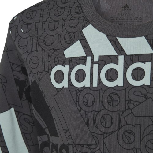 Adidas Marškinėliai Berniukams U Bl Logo Tee Grey HP0819