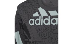 Adidas Marškinėliai Berniukams U Bl Logo Tee Grey HP0819