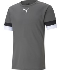 Puma Futbolo Marškinėliai Vyrams TeamRise Jersey Grey 704932 13