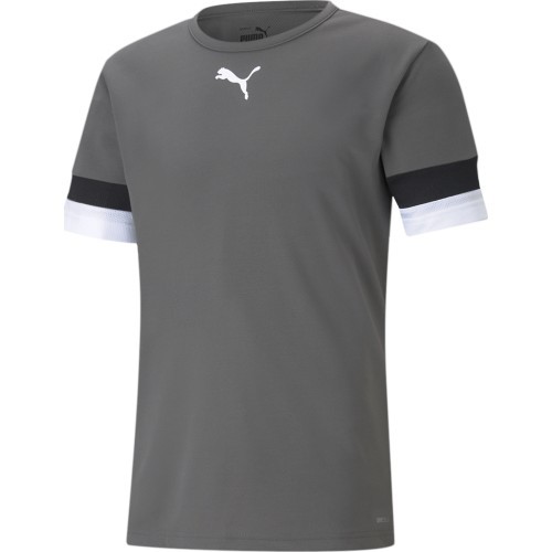 Puma Futbolo Marškinėliai Vyrams TeamRise Jersey Grey 704932 13