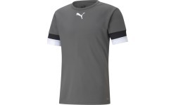 Puma Futbolo Marškinėliai Vyrams TeamRise Jersey Grey 704932 13