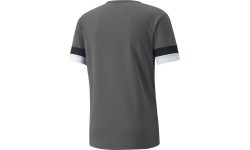 Puma Futbolo Marškinėliai Vyrams TeamRise Jersey Grey 704932 13