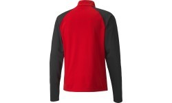 Puma Džemperis Vyrams TeamLiga 1/4 Zip Top Red Black 657236 01