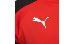 Puma Men's Sweatshirt TeamLiga 1/4 Zip Top Red Black 657236 01