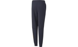 Puma Sportinės Kelnės Paaugliams Active Sports Sweatpants Tr Navy 670076 43