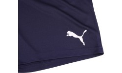 Мужские шорты Puma Teamrise Short Peacoat Blue 704942 06