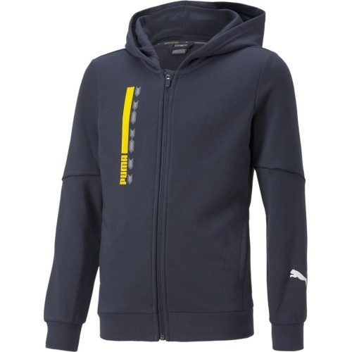 Толстовка подростковая Puma Active Sports Full-Zip Hoodie Blue 670075 43