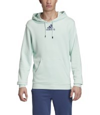 Adidas Cat Graph Hood sweatshirt, green, FM1192