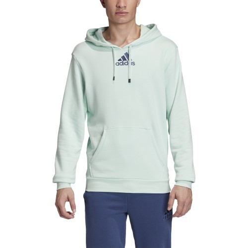 Adidas Cat Graph Hood sweatshirt, green, FM1192