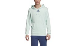 Adidas Cat Graph Hood sweatshirt, green, FM1192