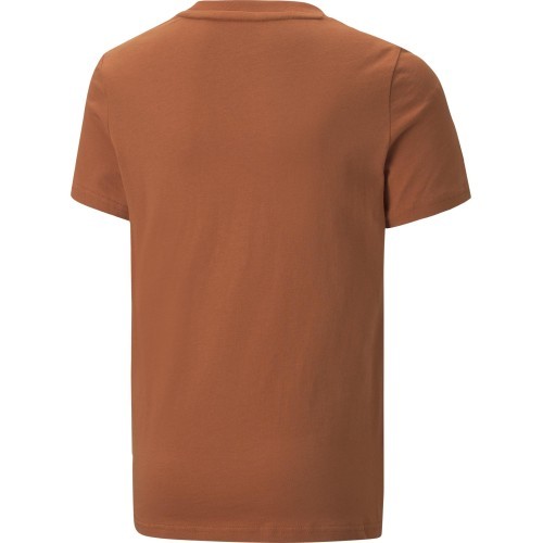 Футболка подростковая Puma Alpha Holiday Tee Orange 670109 64