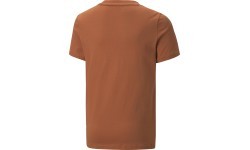 Футболка подростковая Puma Alpha Holiday Tee Orange 670109 64