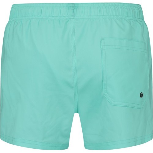 Puma мужские плавательные шорты Swim Men Green 907658 19