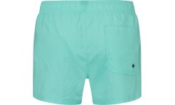 Puma мужские плавательные шорты Swim Men Green 907658 19