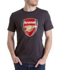 Puma Marškinėliai Afc Fan Tee - Crest Q3 Grey 749297 12