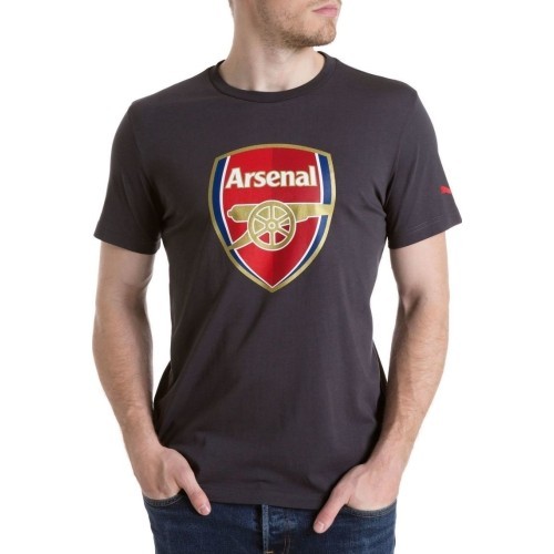 Puma AFC Fan Tee Crest Q3 Grey 749297 12 T-shirt