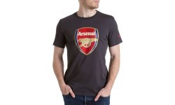 Puma футболка Afc Fan Tee Crest Q3 Grey 749297 12