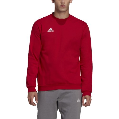 Džemperis Adidas Entrada 22, raudonas