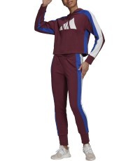 Adidas W TS Big Logo Women's Tracksuit Burgundy H48550